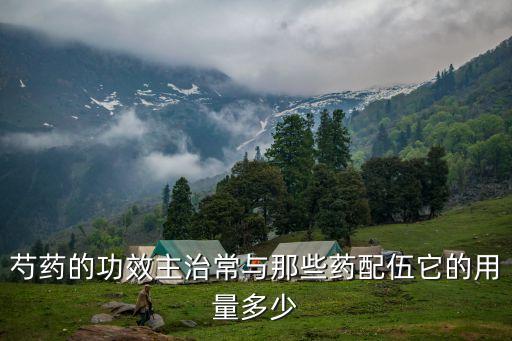 芍藥的功效主治常與那些藥配伍它的用量多少