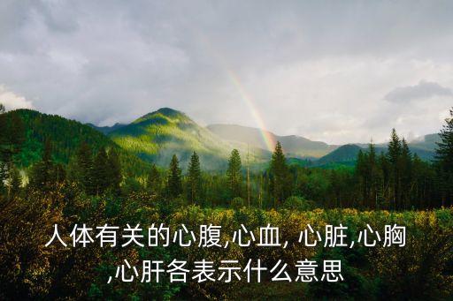 人體有關(guān)的心腹,心血, 心臟,心胸,心肝各表示什么意思