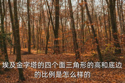 埃及金字塔的四個(gè)面三角形的高和底邊的比例是怎么樣的