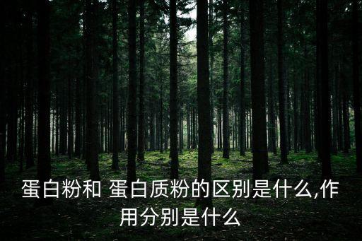 蛋白質的作用與功效,雞蛋質粉的功效與作用