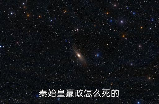 秦王贏政,秦始皇之死略有非議
