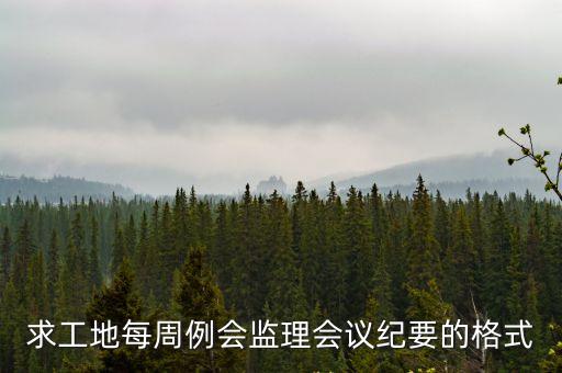 周例會會議紀要，海螺會議紀要周例會