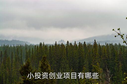 小投資創業項目有哪些