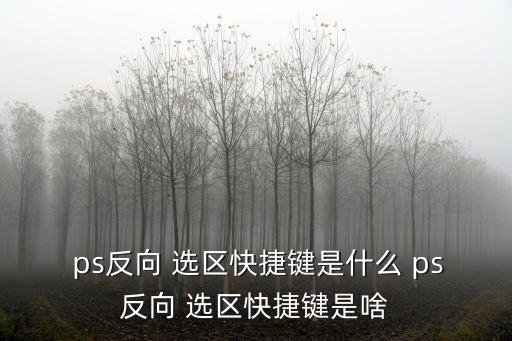  ps反向 選區快捷鍵是什么 ps反向 選區快捷鍵是啥