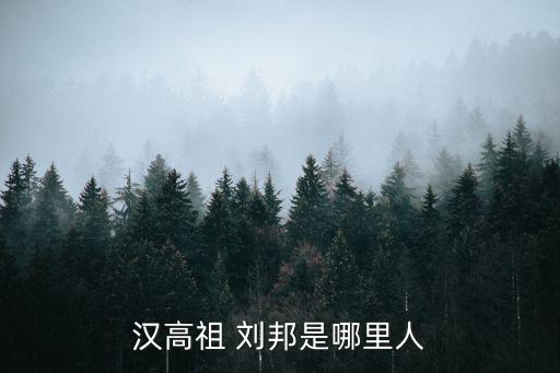 劉邦哪里人,劉邦娶寡人生二子一女建立漢朝王朝