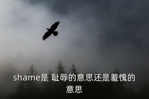 恥辱的意思,第二集:男人與女人之間的差別