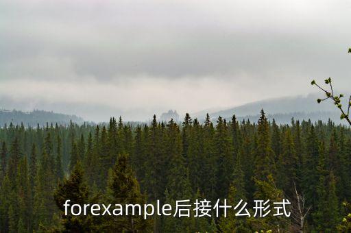  forexample后接什么形式