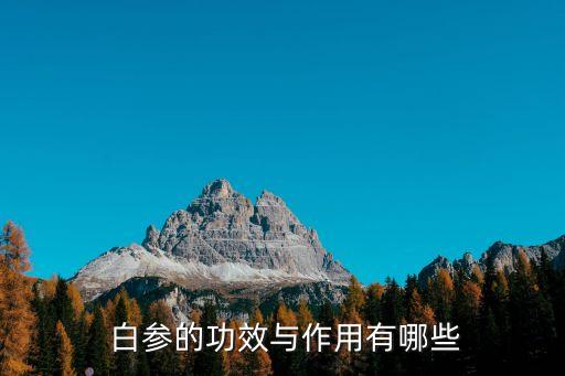  白參的功效與作用有哪些