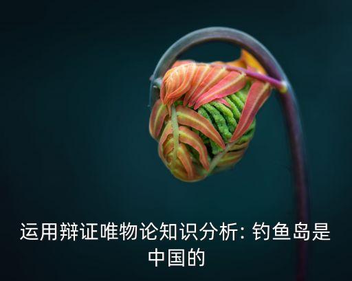 運用辯證唯物論知識分析: 釣魚島是中國的