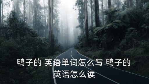 鴨子英語怎么說,關(guān)于鴨子你必須知道的事