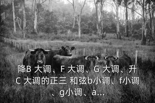 降B 大調(diào)、F 大調(diào)、G 大調(diào)、升C 大調(diào)的正三 和弦b小調(diào)、f小調(diào)、g小調(diào)、a...