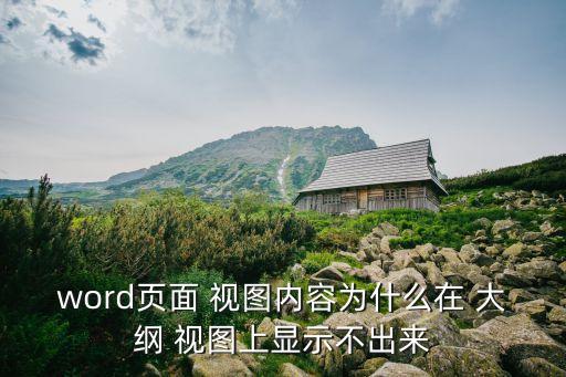 word頁面 視圖內(nèi)容為什么在 大綱 視圖上顯示不出來