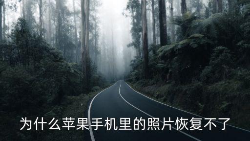 蘋果手機圖片，iphone照片