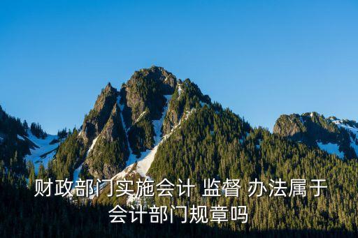 財(cái)政部門監(jiān)督辦法