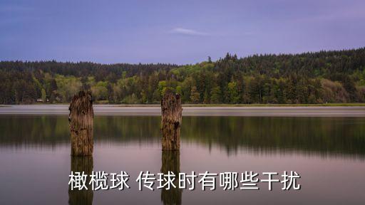 橄欖球傳球,我國男子足球隊奪得銀牌獎