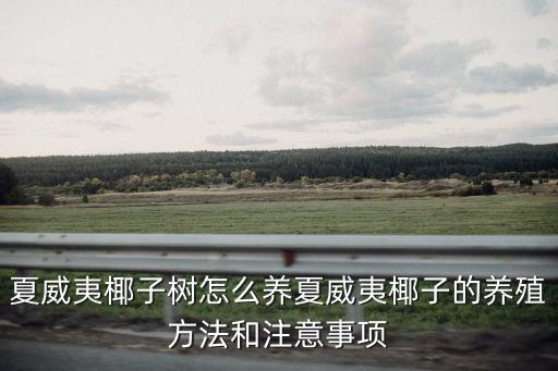 夏威夷椰子樹怎么養夏威夷椰子的養殖方法和注意事項