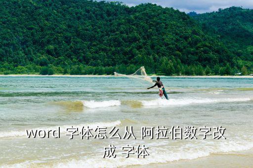 word 字體怎么從 阿拉伯數字改成 字體