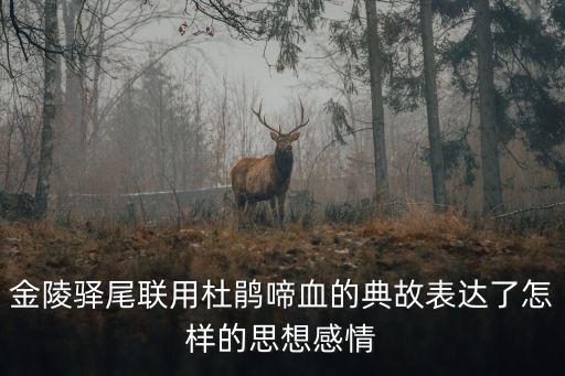 金陵驛尾聯(lián)用杜鵑啼血的典故表達了怎樣的思想感情