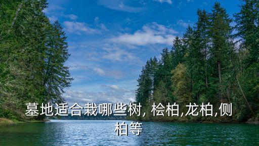 墓地適合栽哪些樹, 檜柏,龍柏,側(cè)柏等