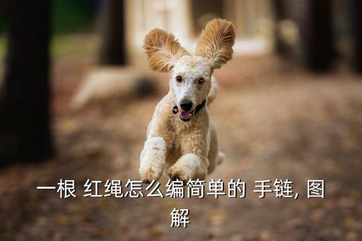 一根 紅繩怎么編簡單的 手鏈, 圖解