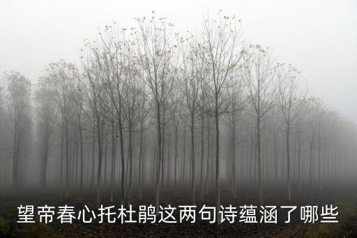 望帝啼鵑的典故，望帝啼鵑是一個怎樣的故事要言簡意賅點的