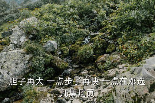 膽子再大 一點步子再快 一點在鄧選幾集幾頁