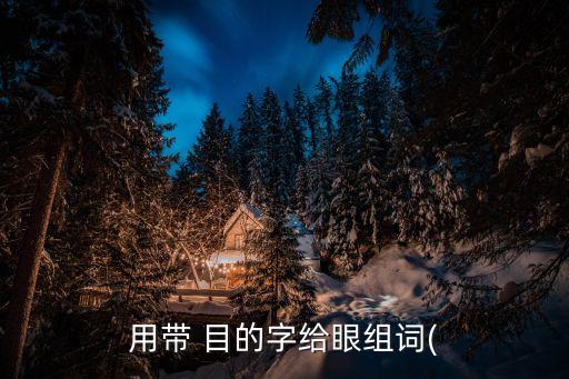 用帶 目的字給眼組詞(