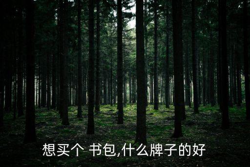 想買個 書包,什么牌子的好