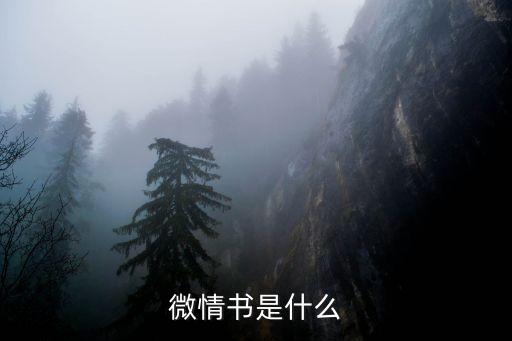 微情書，微情書是什么