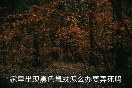 家里出現(xiàn)黑色鼠蛛怎么辦要弄死嗎
