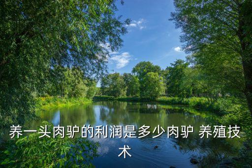 養(yǎng)一頭肉驢的利潤是多少肉驢 養(yǎng)殖技術(shù)