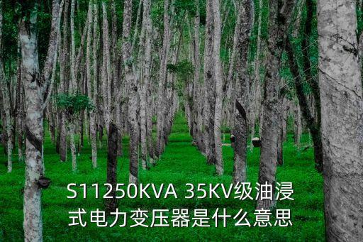 S11250KVA 35KV級(jí)油浸式電力變壓器是什么意思