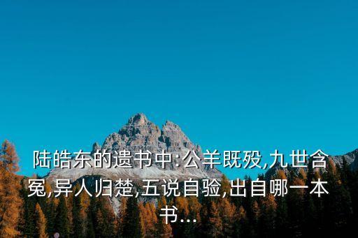 陸?zhàn)〇|,新加坡國旗之青天白日旗