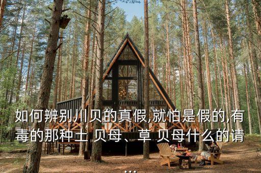草貝母,鑒別川貝母新標準:扁圓形或扁平形