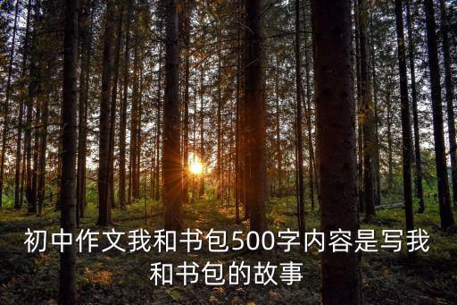 我和書包，一篇關于書包的作文