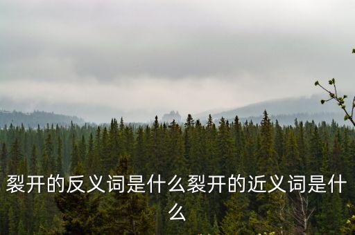 裂開的反義詞，裂開的反義詞是什么