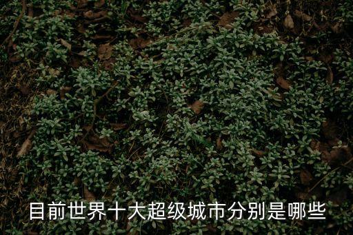 目前世界十大超級(jí)城市分別是哪些