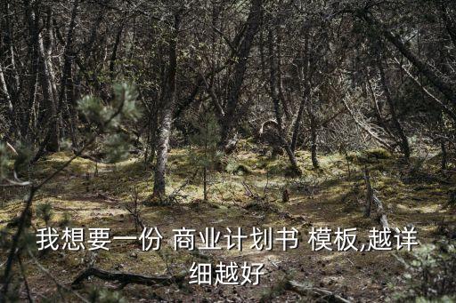 商業策劃書模板,116商業plans模板可參考以說服投資者