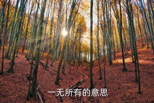 一無所有,《紅樓夢》第四十五回:我是一無所有的