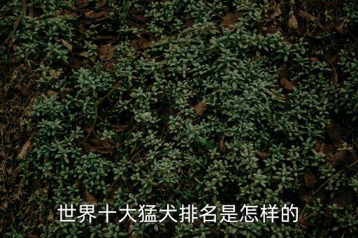 世界十大猛犬排名是怎樣的