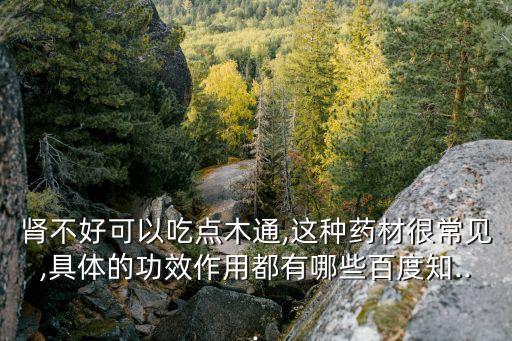 川木通的功效與作用,十三味中藥治療肝腎陰虛病癥效果佳