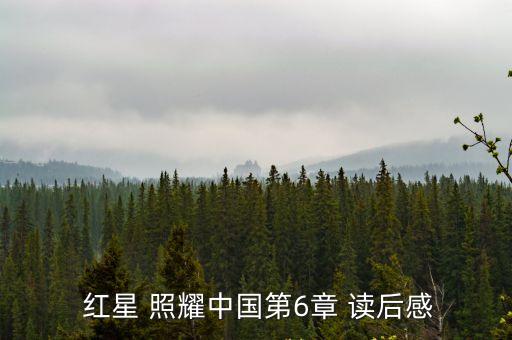 紅星照耀中國(guó)讀后感600字,看完紅星-3/中國(guó)這本書(shū)