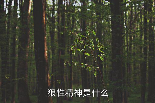狼性,狼性精神是追求生存野心是殺死獵物目標