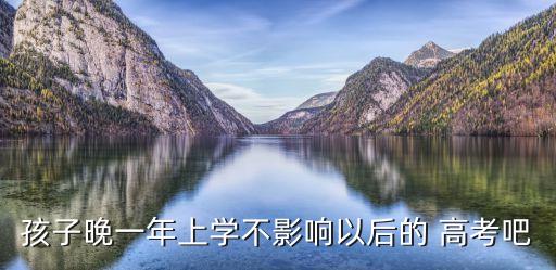 孩子晚一年上學(xué)不影響以后的 高考吧