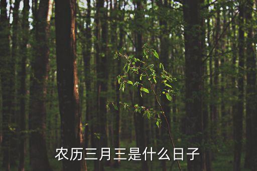 農歷三月三，農歷三月三是什么節日