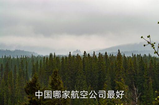 哪個航空公司好，中國哪家航空公司最好