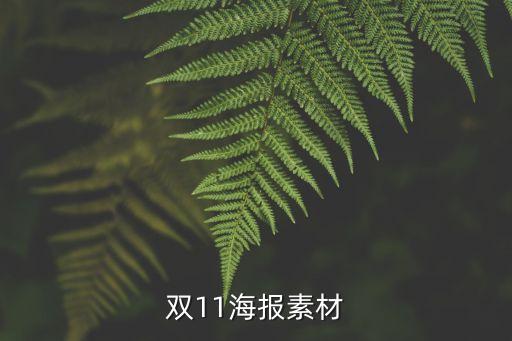 雙11海報素材