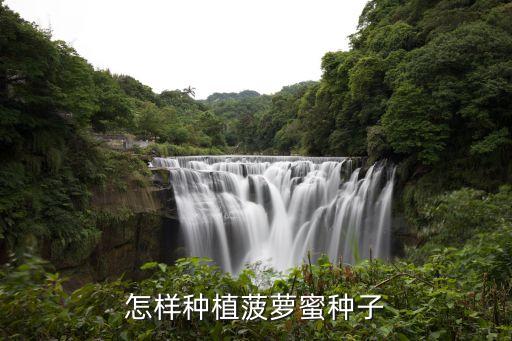 怎樣種植菠蘿蜜種子
