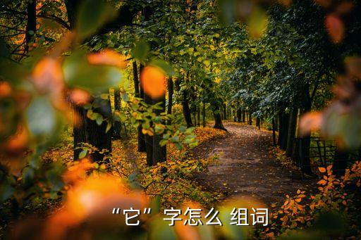它字組詞,財政預算案