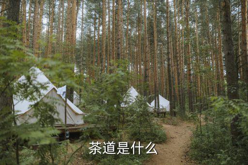 茶道術語，茶藝的專業術語有哪些